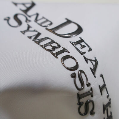 Metallic Finish TPU Heat Transfer Label - Custom Letter Logo Emblem for Apparel & Brand Merchandise